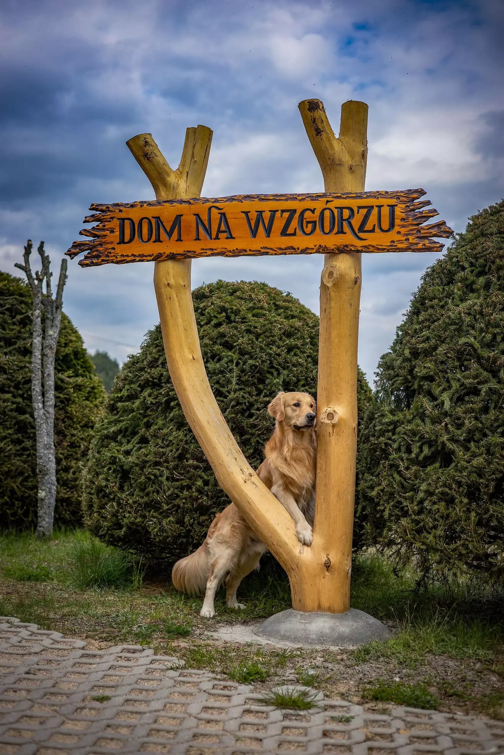 Zdjęcie 10 z galerii Dom na Wzgórzu