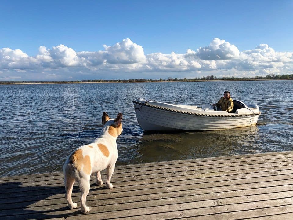 Zdjęcie 12 z galerii HT Houseboats – Domki na Wodzie