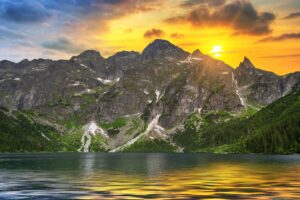 Sekret dlugowiecznosci zapisany w naturze